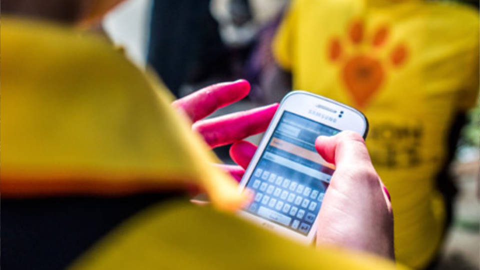 Brand engagement